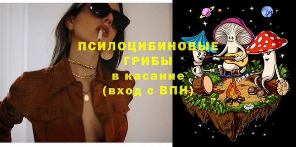 ПСИЛОЦИБИНОВЫЕ ГРИБЫ Алексин
