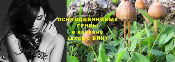 а пвп мука Алзамай