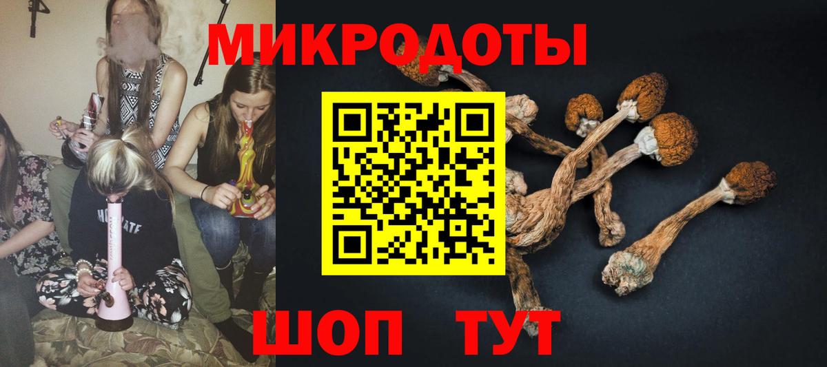 Северодвинск  Псилоцибиновые грибы Magic Shrooms  Вход с VPN 